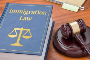 Visa & Immigration Law